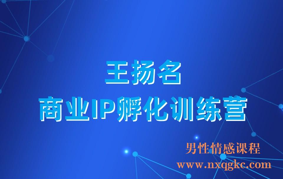 王扬名商业IP孵化训练营(23030439)