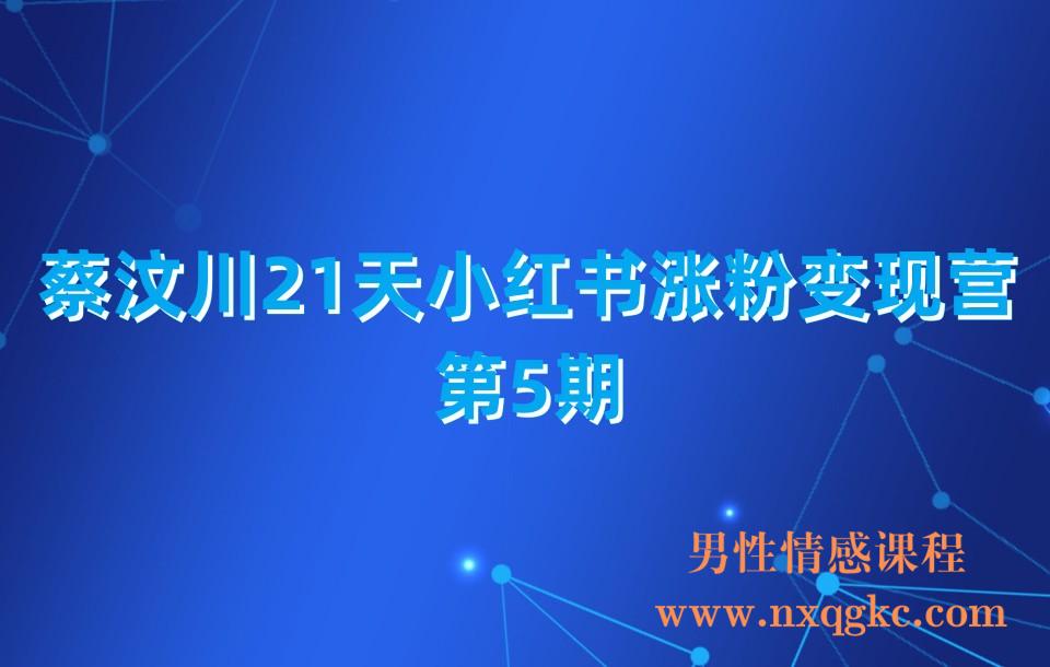 蔡汶川21天小红书涨粉变现营（第5期）(230310014)