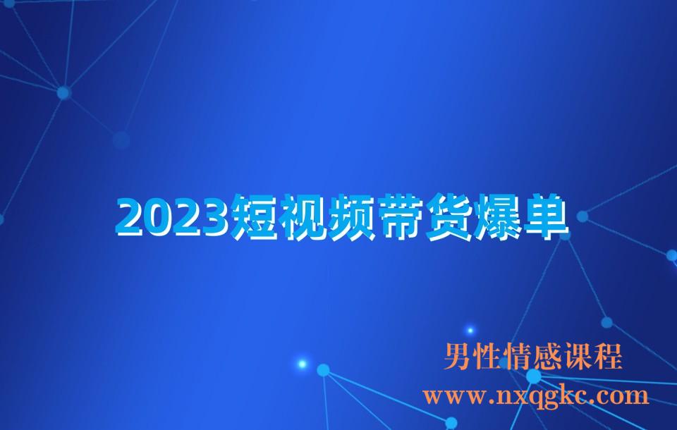 2023短视频带货爆单(230310183)