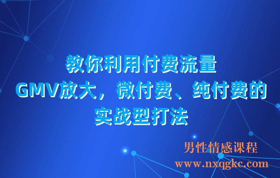 教你利用付费流量·GMV放大，微付费、纯付费的实战型打法！(230310078)