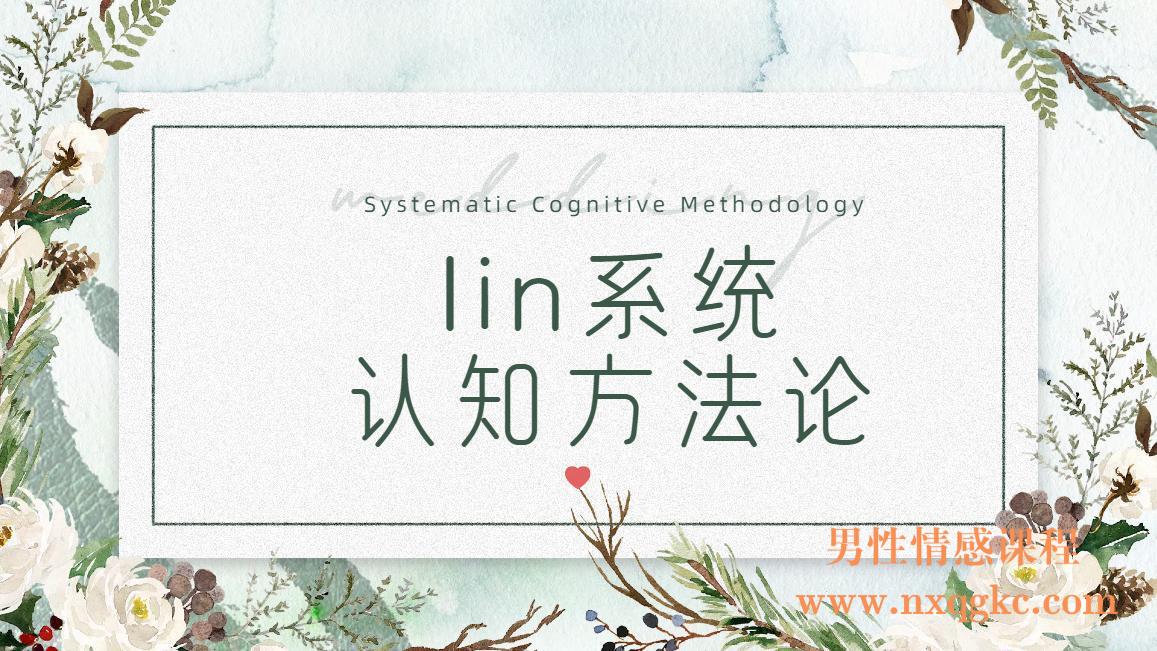 lin系统认知方法论（编号0503452）