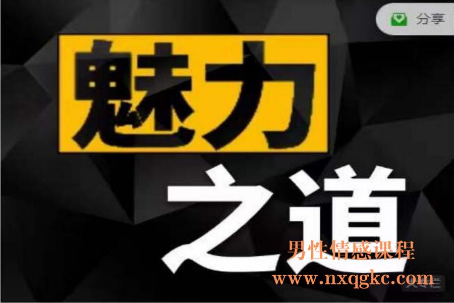 魅力之道全板块（编号0503501）