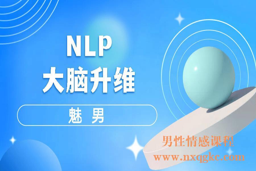 魅男《NLP大脑升维》（编号0503502）
