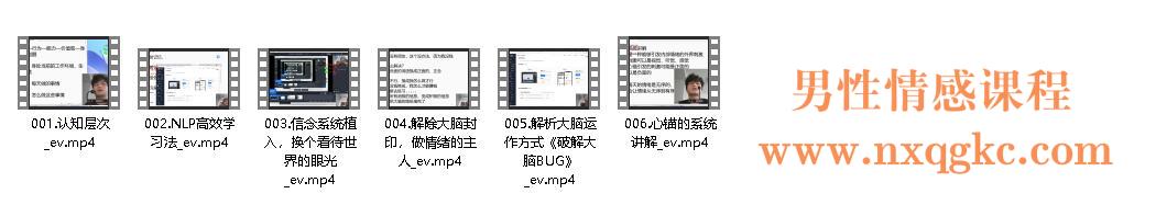 魅男《NLP大脑升维》课程简介